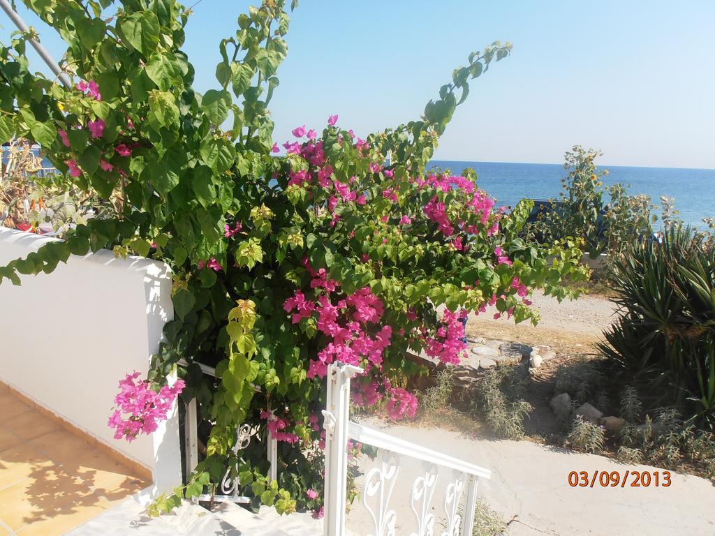 Iro Apartments Paralia Agias Foteinis Bagian luar foto